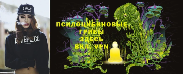 меф Карпинск