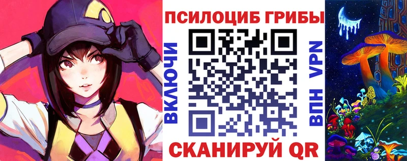 Купить закладки  Беломорск  Псилоцибиновые грибы MAGIC MUSHROOMS 